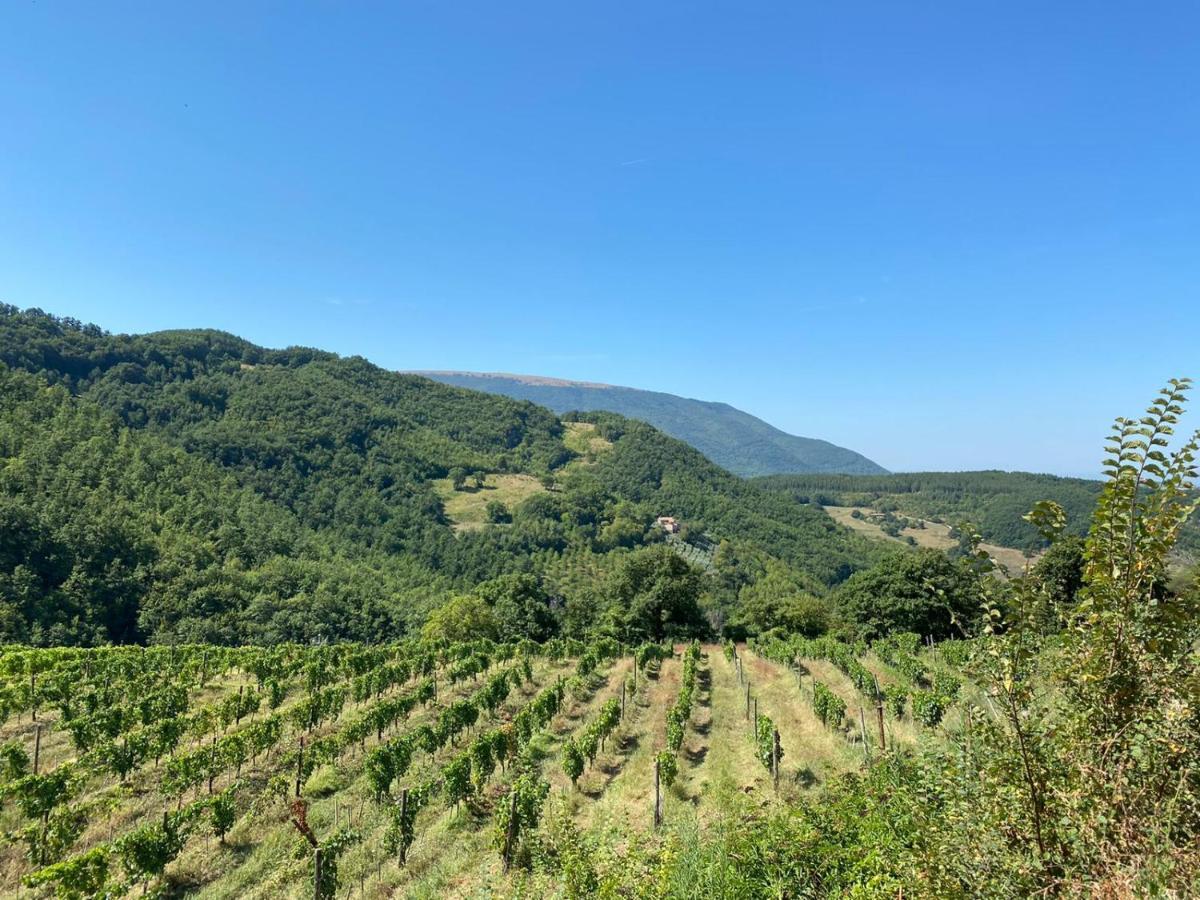 Agriturismo Le Case Asyż Zewnętrze zdjęcie