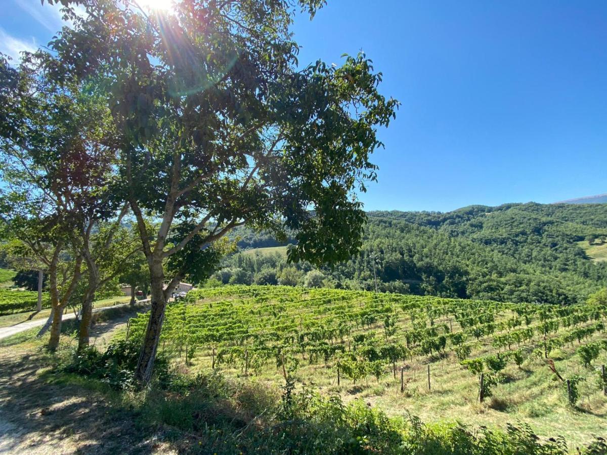 Agriturismo Le Case Asyż Zewnętrze zdjęcie