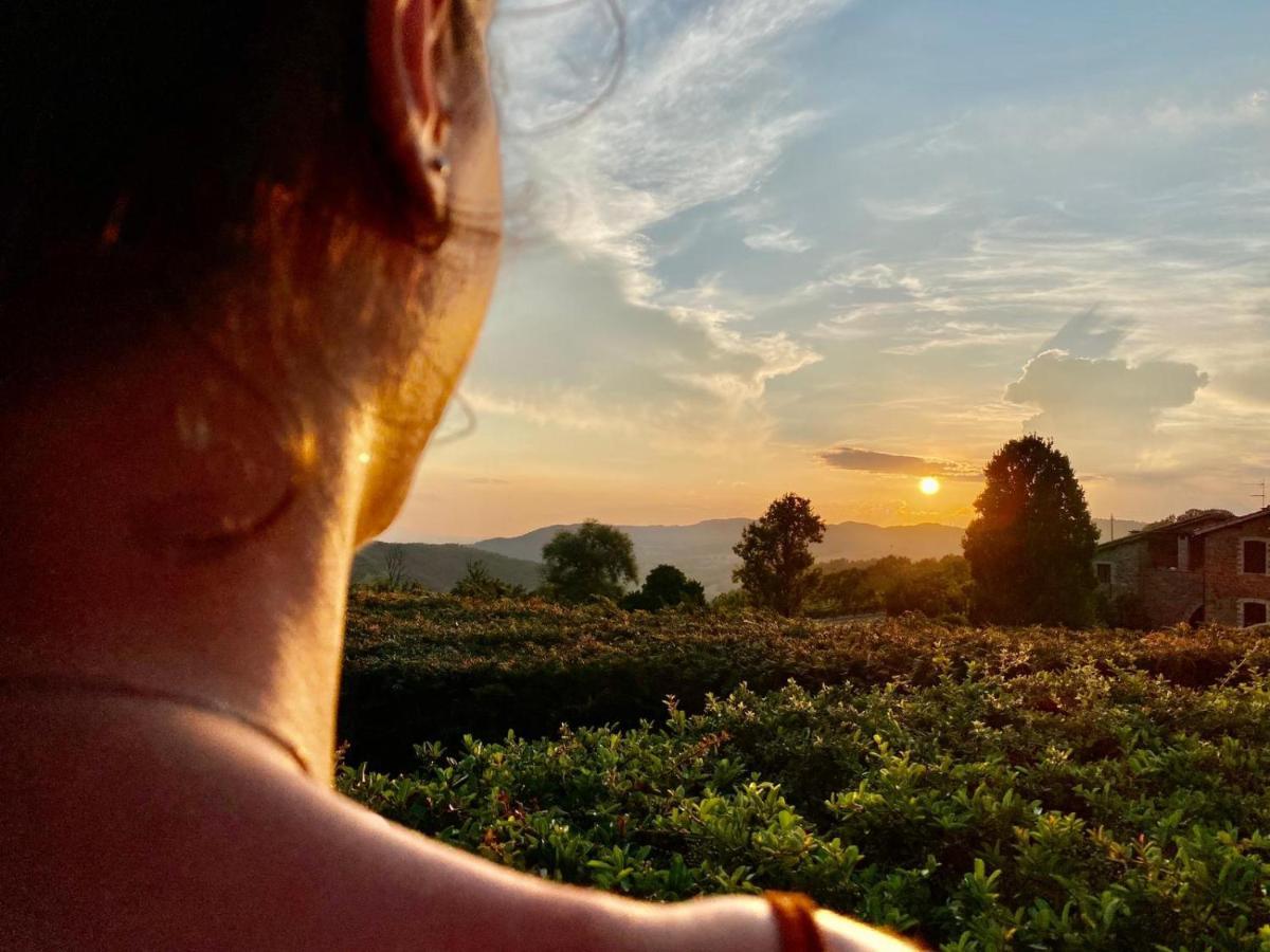 Agriturismo Le Case Asyż Zewnętrze zdjęcie