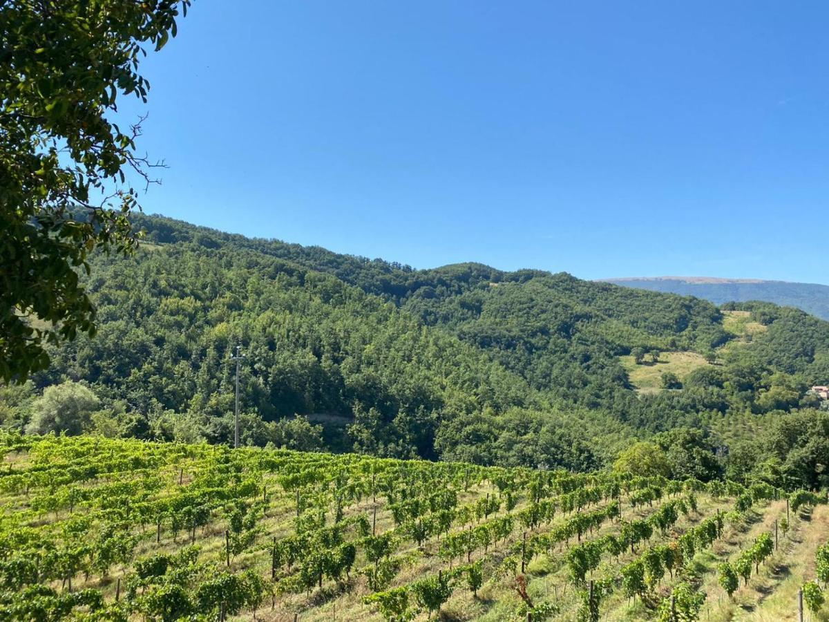 Agriturismo Le Case Asyż Zewnętrze zdjęcie