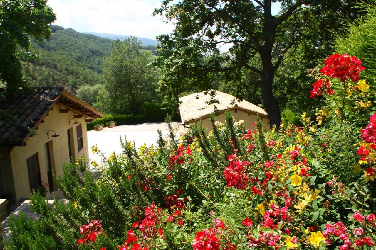Agriturismo Le Case Asyż Zewnętrze zdjęcie