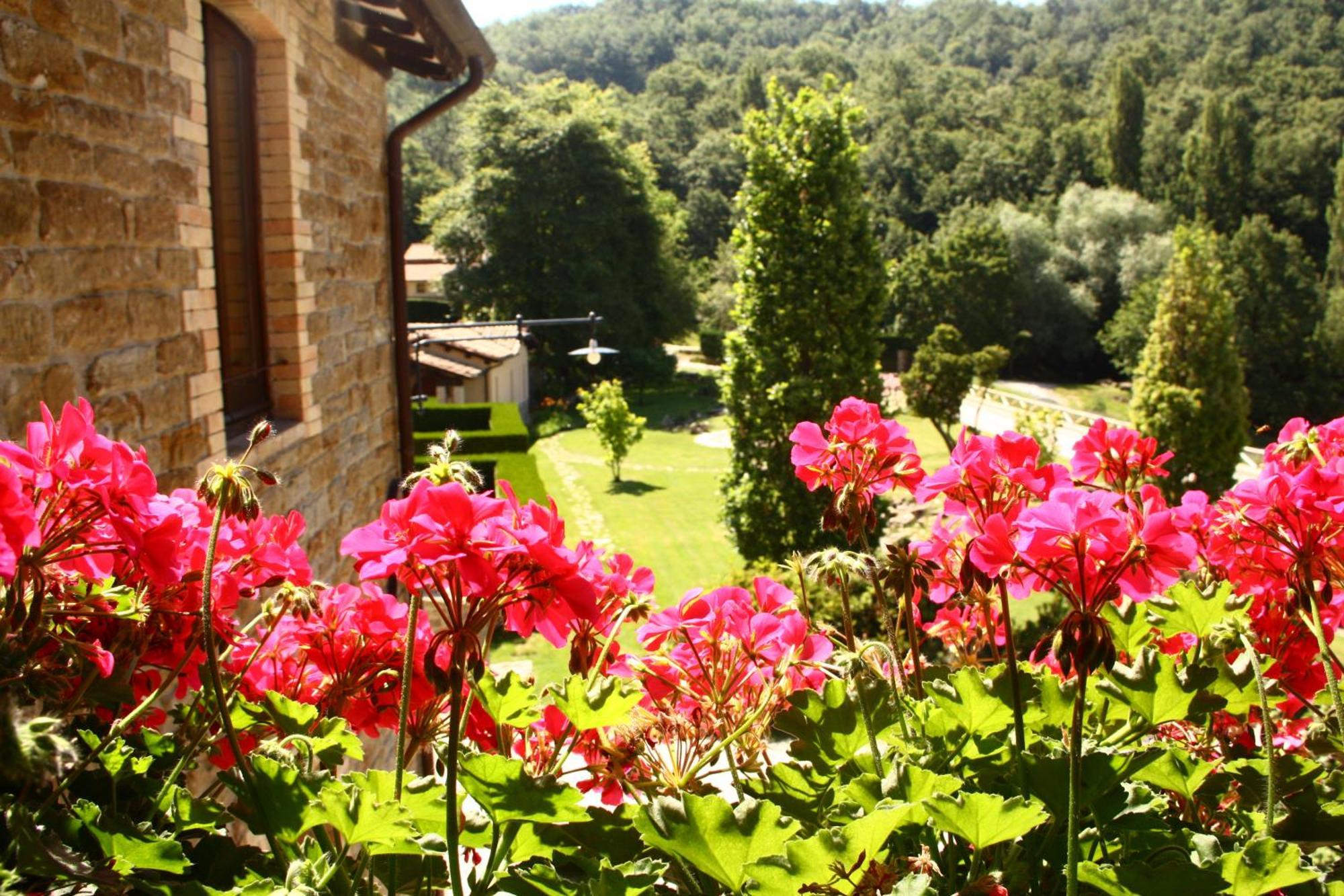 Agriturismo Le Case Asyż Zewnętrze zdjęcie