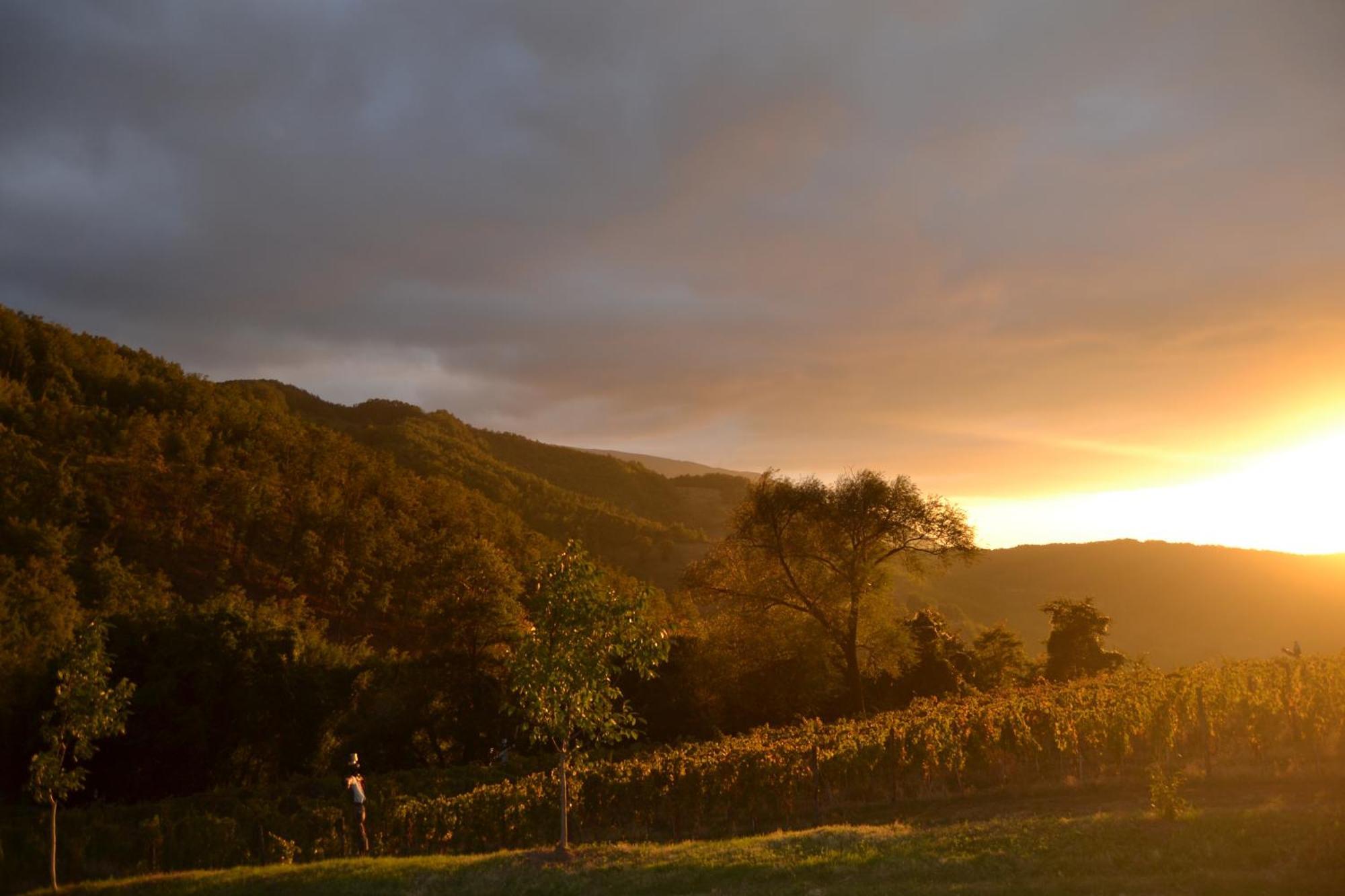 Agriturismo Le Case Asyż Zewnętrze zdjęcie
