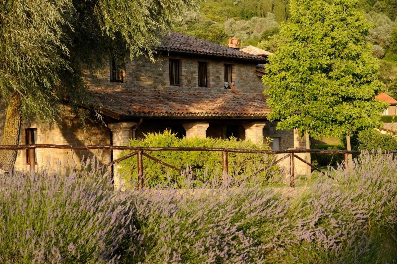 Agriturismo Le Case Asyż Zewnętrze zdjęcie